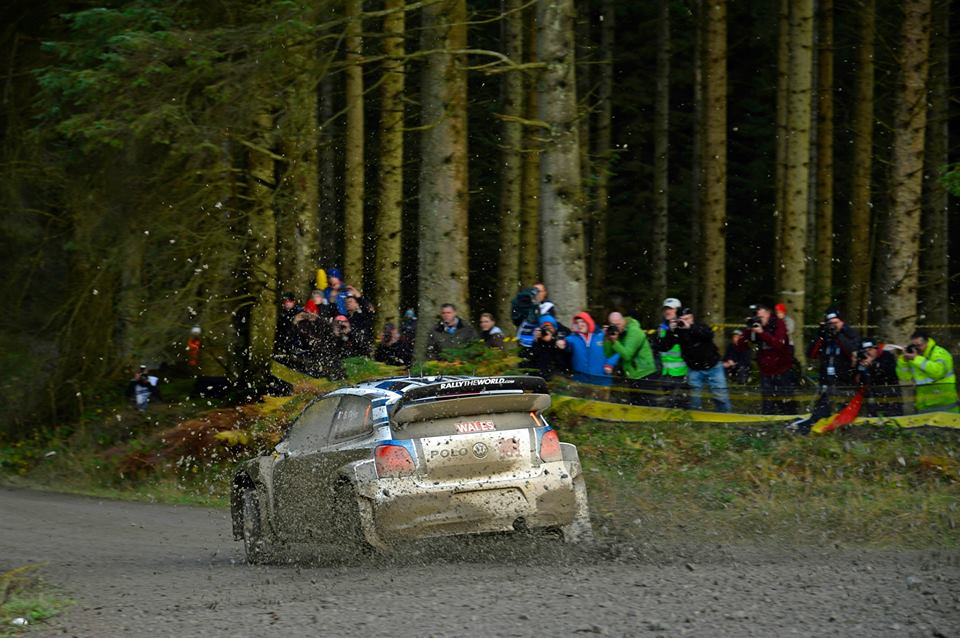 ogier gales 2015