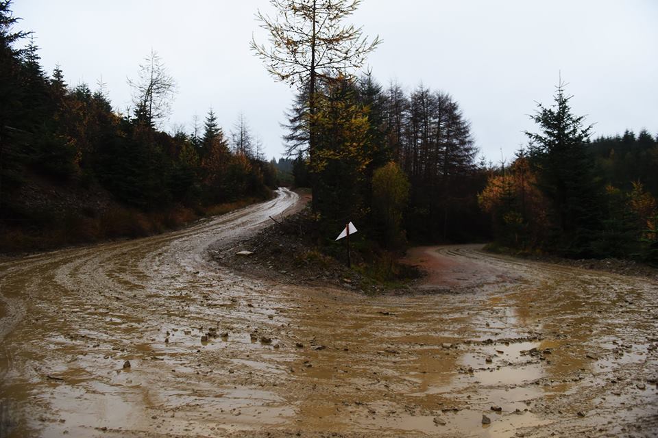 tramo gales 2015