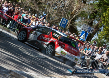 pedro fontes guimaraes 2015