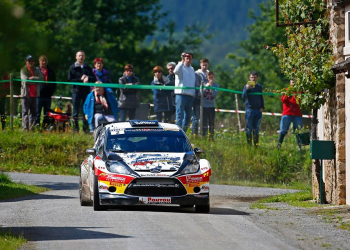 brunson limousin 2016