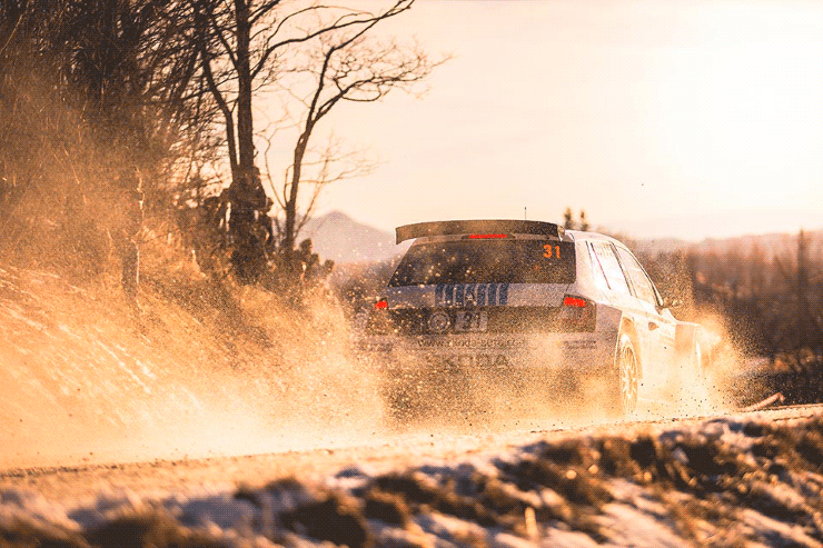 mikkelsen1 montecarlo2017