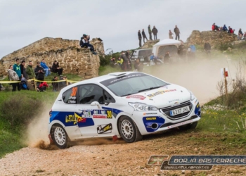 pardo navarra 2016