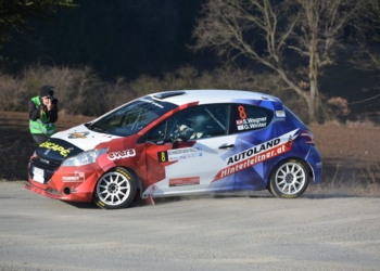 wagner 208 erc 2017