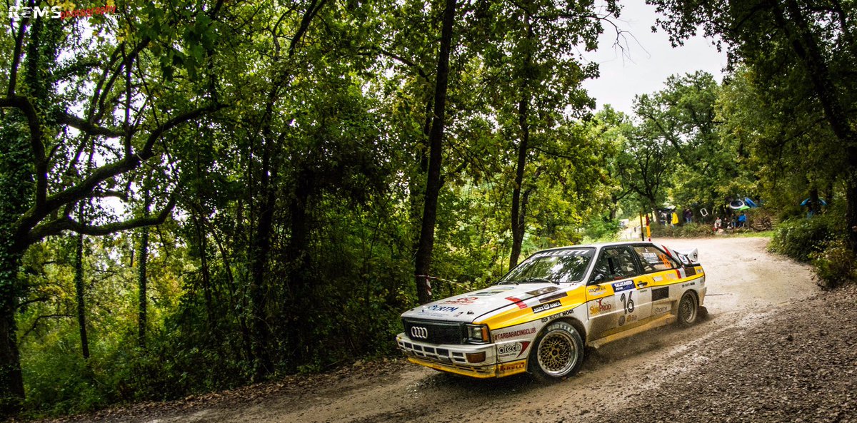 riolo audiquattro2016