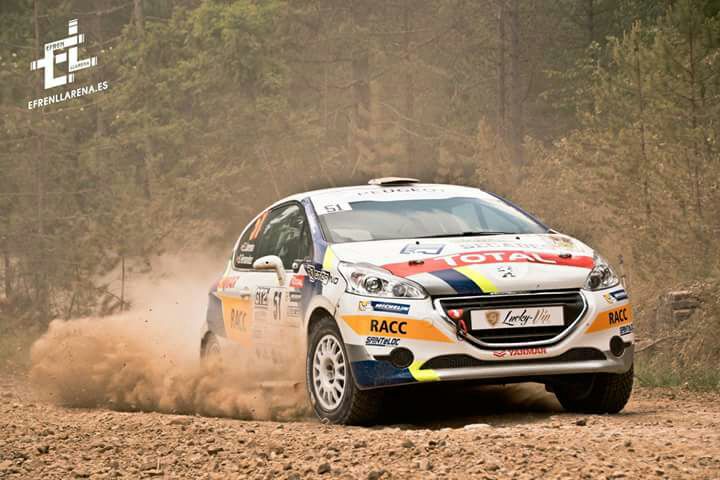 Llarena Cardabelles 2017