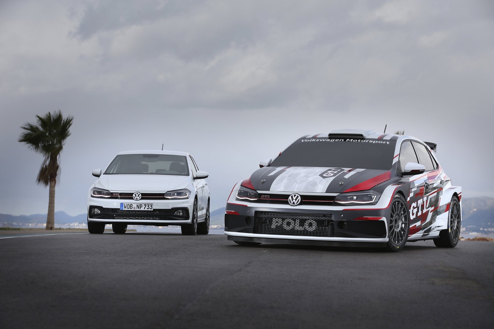 Polo R5 2018