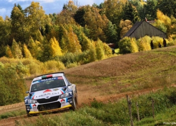 magalhaes media best erc 2017