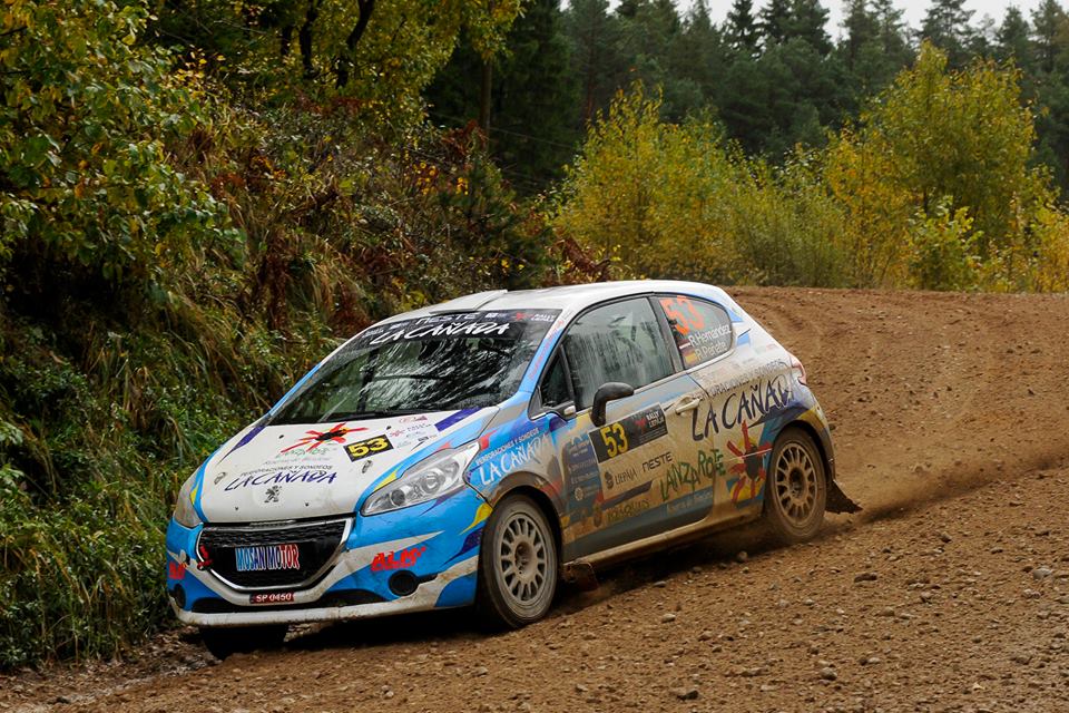 Raul prealuksne 2018