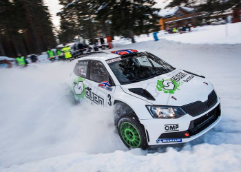 Veiby finnskog 2018