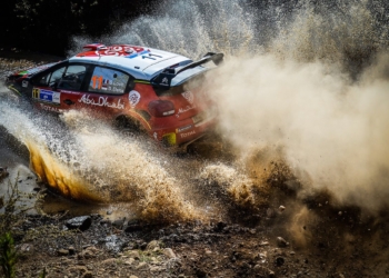 Loeb Mexico 2018 1