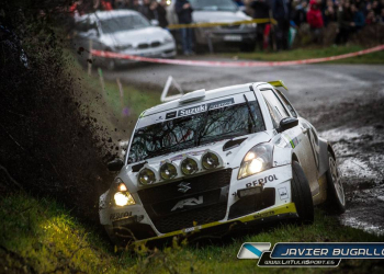 Suzuki Cocido 2018