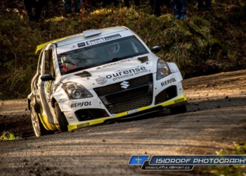 Suzuki precocido 2018