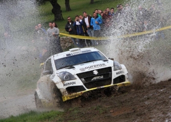 Pardo pozoblanco 2018