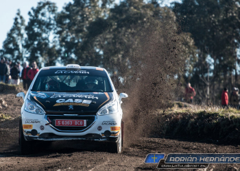 iberian 208 cup premio 2018