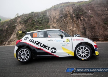 Pardo canarias 2018