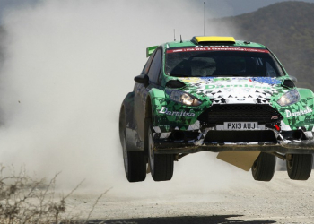 Protasov ercacropolis 2018