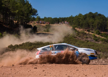 Bergkvist campeonjwrc 2018