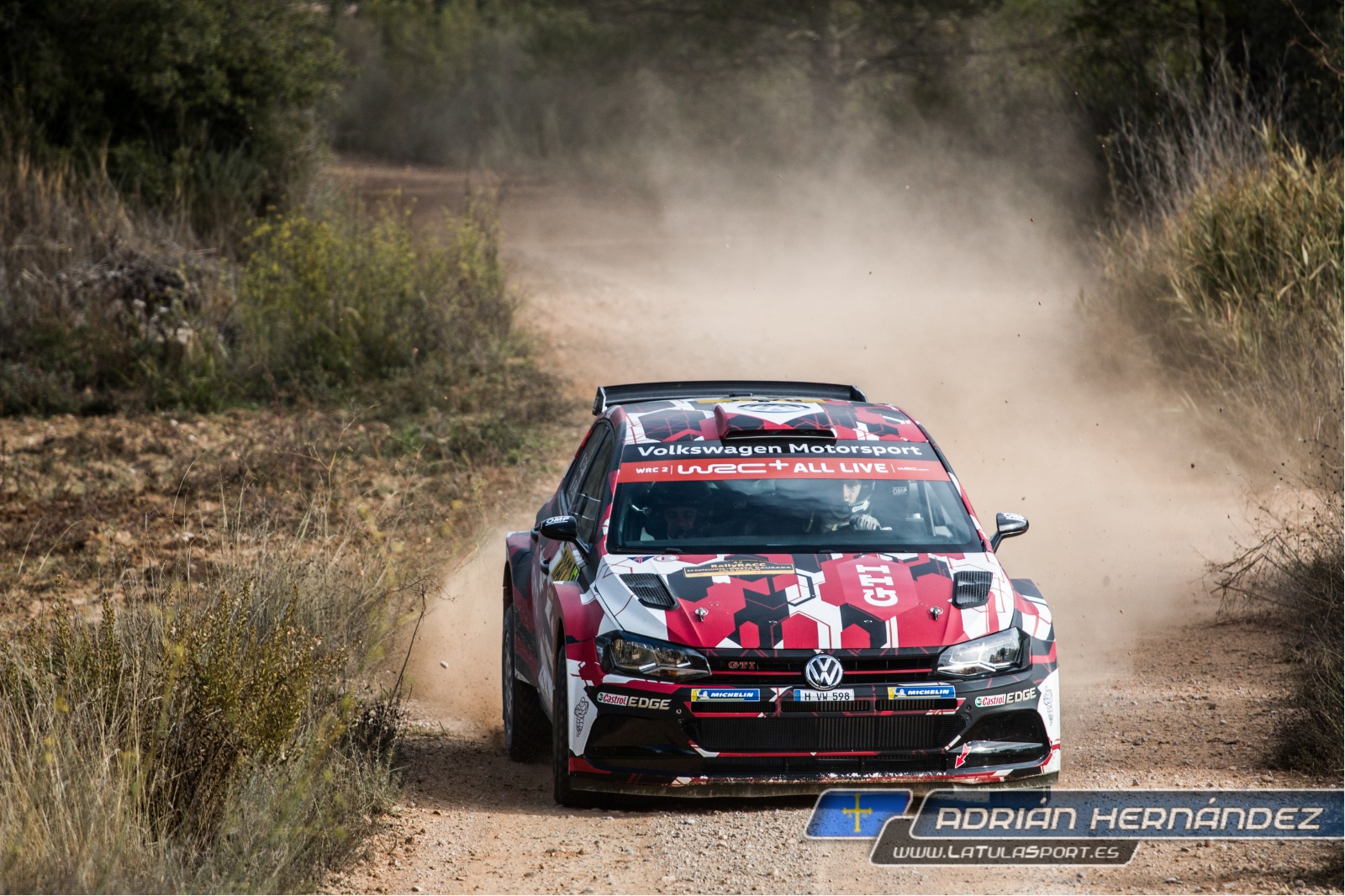 Camilli Lider2Cat 2018