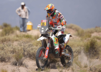 Laia Predakar 2019