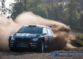 Ingram ERC 2019