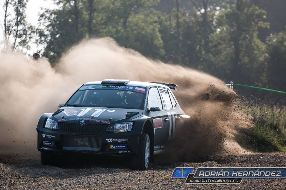 Ingram ERC 2019