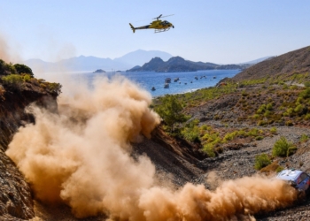 WRC tv 2019