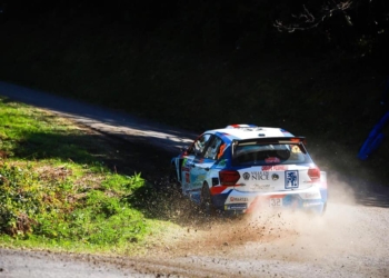 Camilli wrc 2019