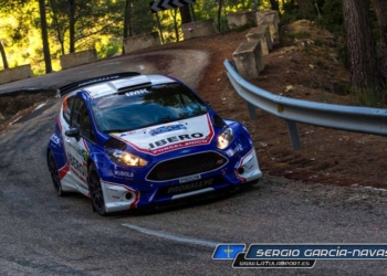 Carnicer FiestaR5 abandonocarreras 2019