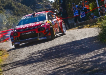 Lappi Corcega 2019