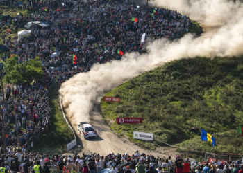 Publico WRC 2019