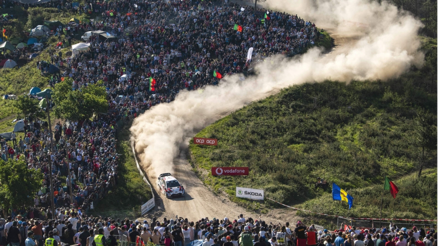 Publico WRC 2019