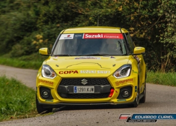 Suzuki entregavehiculos 2019