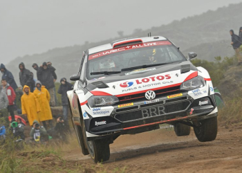 kajto nochile 2019