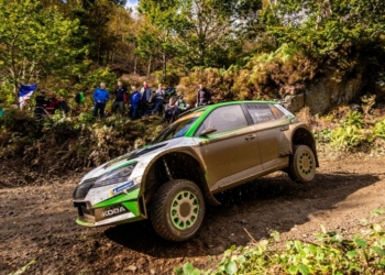 Kalle SaltoWRC 2019