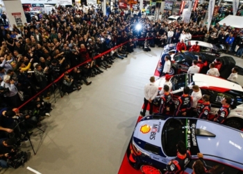 DorsalesWRC 20
