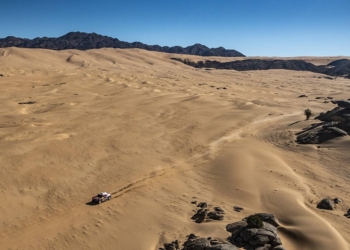 CarlosSainz Dakar 20 3