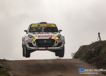 Pardo Com Fafe 20