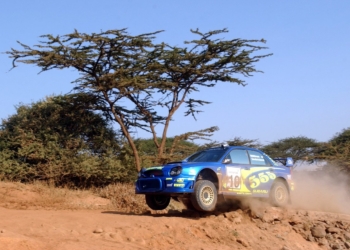 Safari 20