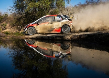 SebastienOgier Dirtfish 20