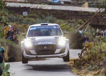 Pardo ConclusionesCanarias 20