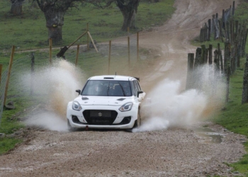 Suzuki TestPre 21 1