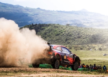 Neuville PostSafari 21