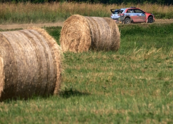 HyundaiWRC2 Ypres 21